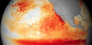 Dünya, 4 Temmuz’da 17,18 derece ile 44 yılın sıcaklık rekorunu kırdı