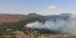Marmaris’te orman yangını!