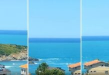 📽️ İstanbul’da beklenen Plankton patlaması gerçekleşti; Marmara’nın rengi Turkuaza dönüştü