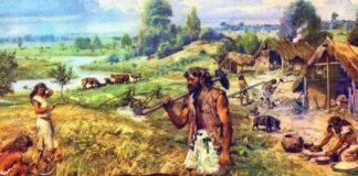 Yeni bir çağa giriyoruz; ‘Antroposen’… İnsan Çağı !