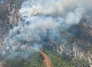 Muğla Köyceğiz’de orman yangını!