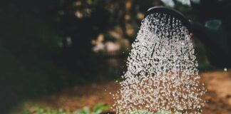 İstanbul’da su tüketiminde rekor kırıldı… İSKİ SMS gönderdi!