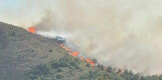 Manavgat’ta orman yangını!