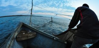 Şengör; “Karadeniz sonunda patlayacak…Bunu biraz mürekkep yalamış herkes bilir”