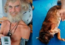 📽️Castaway ve aylarca denizde başıboş halde hayatta kalan köpeği karaya geri döndü