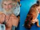 📽️Castaway ve aylarca denizde başıboş halde hayatta kalan köpeği karaya geri döndü