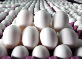 Tayvan’ın Türkiye’den aldığı yumurtalarda yasaklı antibiyotik madde bulundu