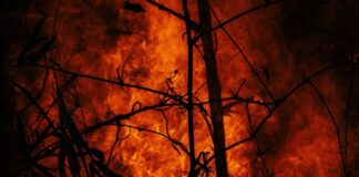 Rodos’ta yangın: Yerleşim birimleri için tahliye emri verildi aralarında turistlerin de bulunduğu en az 2 bin kişiyi tahliye edildi .