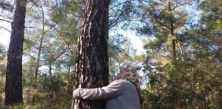 Akbelen Ormanı’nda ağaç kesimi: Jandarma ve TOMA sevk edildi