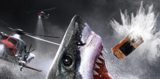 Köpekbalıklarını kokainman yaotık!