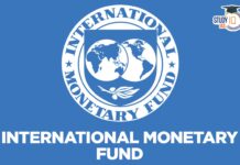 IMF Türkiye’nin gelecek yıl için büyüme tahminini düşürdü