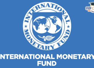 IMF Türkiye’nin gelecek yıl için büyüme tahminini düşürdü