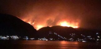 Günlerdir kontrol altına alınamayan orman yangını olağanüstü hal getirdi.