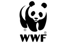 Limak Holding Yönetim Kurulu Başkanı Ebru Özdemir’in WWF- Türkiye (Doğal Hayatı Koruma Vakfı) Mütevelli Heyeti üyeliğinden ayrıldığı bildirildi.