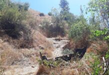 Adana’da uçuruma devrilen araçta 2’si çocuk 4 kişi yaşamını yitirdi. İddiaya göre, navigasyon yanlış rota çizdi