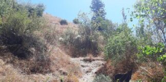 Adana’da uçuruma devrilen araçta 2’si çocuk 4 kişi yaşamını yitirdi. İddiaya göre, navigasyon yanlış rota çizdi