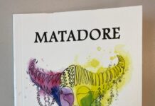 “Mümkünmüş gibi görünen imkânsızın kıyısındaki bir aşk…”Kent Ekranı Yazarı Kemal Aslan’dan Yeni Bir Şiir Kitabı: Matadore
