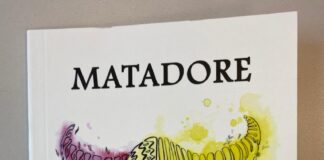 “Mümkünmüş gibi görünen imkânsızın kıyısındaki bir aşk…”Kent Ekranı Yazarı Kemal Aslan’dan Yeni Bir Şiir Kitabı: Matadore