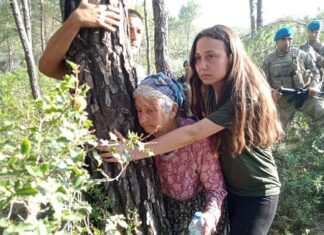 ‘Sona ermiştir’ açıklamasına rağmen Akbelen’de yapılan ağaç kesimi sabah