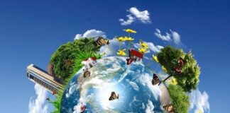 Dünya ‘kefen parasını’ bile yiyip bitirdi!