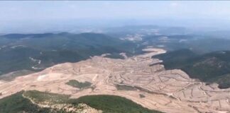 Şimdi de Kaz Dağları‘nda ağaç katliamına başlandı.