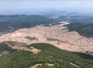 Şimdi de Kaz Dağları‘nda ağaç katliamına başlandı.