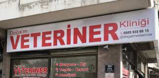 Ankara’da saldırıya uğrayan veteriner hekim Ceren Eroğlu için veterinerler iş bırakacak.