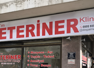 Ankara’da saldırıya uğrayan veteriner hekim Ceren Eroğlu için veterinerler iş bırakacak.