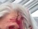 Rhiannon Fennell, 69, from Prestatyn was attacked by a seagull in her back garde