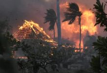 HAWAİ’DEKİ FELAKETİ BÜYÜTEN YENİ BİLGİLER.