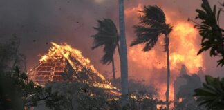 HAWAİ’DEKİ FELAKETİ BÜYÜTEN YENİ BİLGİLER.