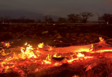 📽️En vahşi yangın: Hawai’de ölü sayısı 106’ya yükseldi, 1.000 kişi hala kayıp