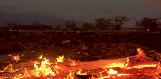 📽️En vahşi yangın: Hawai’de ölü sayısı 106’ya yükseldi, 1.000 kişi hala kayıp