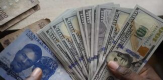 Geli̇şmekte olan ekonomi̇ler Ameri̇kan dolarina alternati̇f arıyor, peki̇ seçenekleri ne?