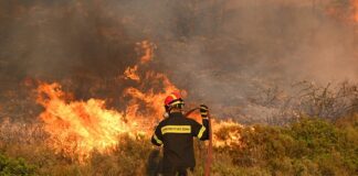 Yunanistan yangınları: 18 ceset bulundu