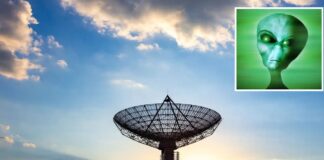 Bir grup gökbilimci, uzaya gönderdikleri mesaja yarın cevap bekliyor!