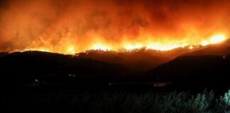 Çanakkale’de orman yangını etkisini artırıyor, alevler yeniden yükselmeye başladı.