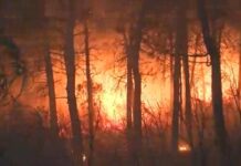 İstanbul Maltepe’de orman yangını! Havadan müdahale isteniyor