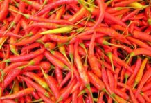 Püf Noktası/Biber acısı nasıl geçer? Ağzınız burnunuz yandıysa hemen bunu yapın…