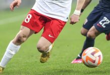 Sezon sona erdi. İşte profesyonel liglerde sezonun panoraması