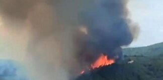 Mudanya’da orman yangını; alevler rüzgârın etkisiyle yayılıyor