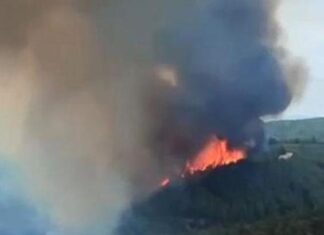 Mudanya’da orman yangını; alevler rüzgârın etkisiyle yayılıyor