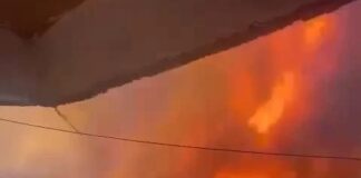 İstanbul Maltepe Zümrütevler’deki ormanlık alanda yangın!