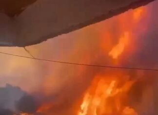 İstanbul Maltepe Zümrütevler’deki ormanlık alanda yangın!