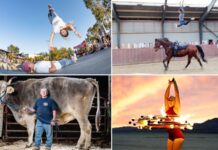 Patenciler, ninjalar ve hatta çiftlik hayvanları… Guinness’e girmek için neler yaptılar neler…