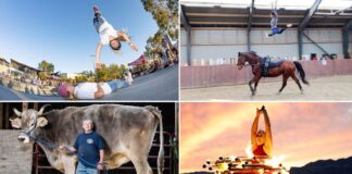 Patenciler, ninjalar ve hatta çiftlik hayvanları… Guinness’e girmek için neler yaptılar neler…