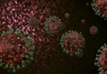 Bakan açıkladı : Eris varyantı Türkiye’de!