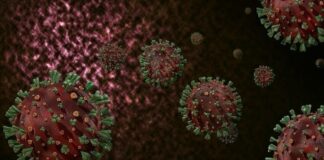 Bakan açıkladı : Eris varyantı Türkiye’de!