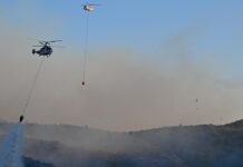 İzmir’de orman yangınına müdahale eden helikopter baraja düştü: 1 personel kurtarıldı, 3’ü aranıyor