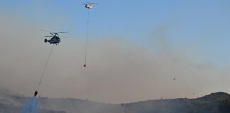 İzmir’de orman yangınına müdahale eden helikopter baraja düştü: 1 personel kurtarıldı, 3’ü aranıyor